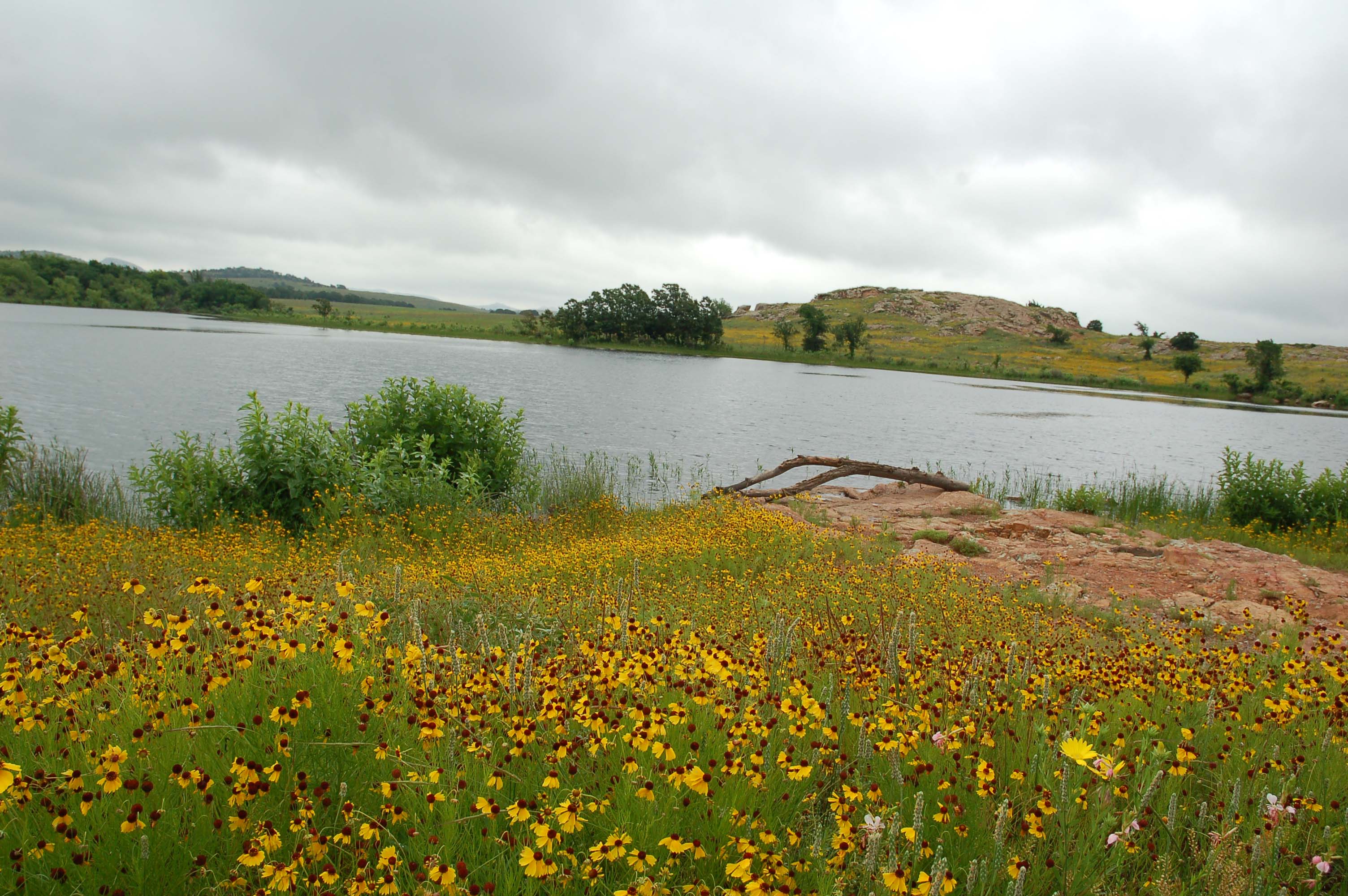  Wichita Mountains Spring 07 