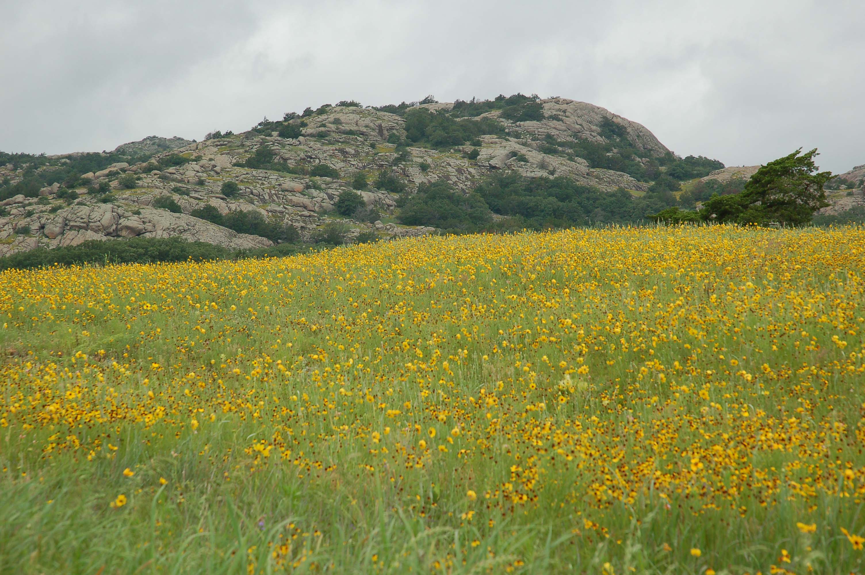  Wichita Mountains Spring 07 